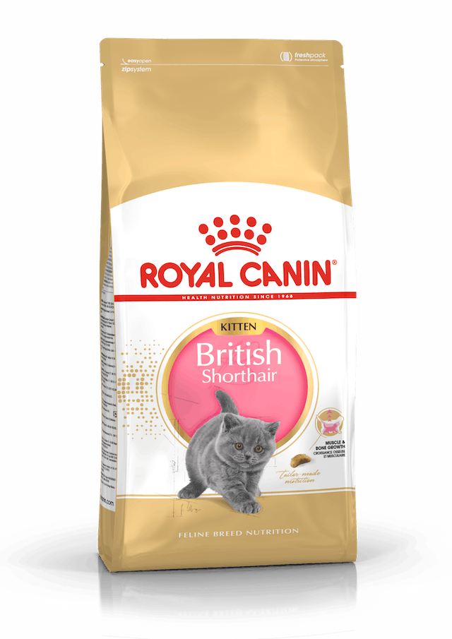 Royal Canin British Shorthair Kitten Kedi Kuru Maması 2 Kg