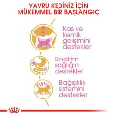 Royal Canin British Shorthair Kitten Kedi Kuru Maması 2 Kg