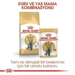 Royal Canin British Shorthair Yetişkin Pouch Kedi Konservesi 85 Gr