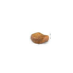 Royal Canin British Shorthair Adult Yetişkin Kedi Maması 400 Gr