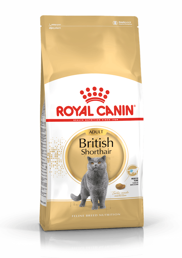 Royal Canin British Shorthair Adult Yetişkin Kedi Maması 400 Gr