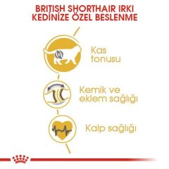 Royal Canin British Shorthair Adult Kedi Kuru Maması 4 kg