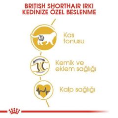 Royal Canin British Shorthair Adult Kedi Kuru Maması 10 kg