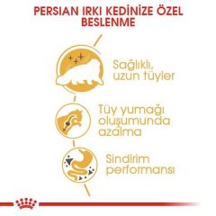 Royal Canin Persian Adult Kuru Kedi Maması 2 Kg