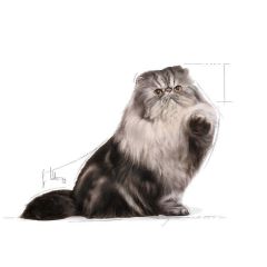Royal Canin Persian Adult Kuru Kedi Maması 400 Gr
