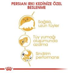 Royal Canin Persian Adult Kuru Kedi Maması 400 Gr