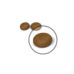 Royal Canin Hair Skin Hassas Tüylü Kediler İçin Mama 4 Kg