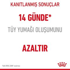Royal Canin Hairball Care 2 Kg Yetişkin Kuru Kedi Maması