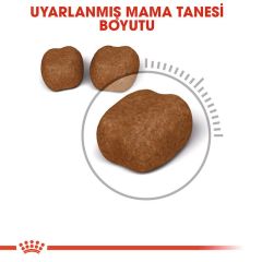 Royal Canin Dental Care 1.5 Kg Yetişkin Kuru Kedi Maması