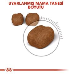Royal Canin Dental Care 1.5 Kg Yetişkin Kuru Kedi Maması