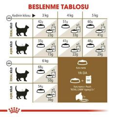 Royal Canin Ageing +12 Yaş Üzeri Yaşlı Kuru Kedi Maması 2 Kg
