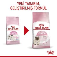 Royal Canin BabyCat 34 Yavru Kuru Kedi Maması 4 Kg