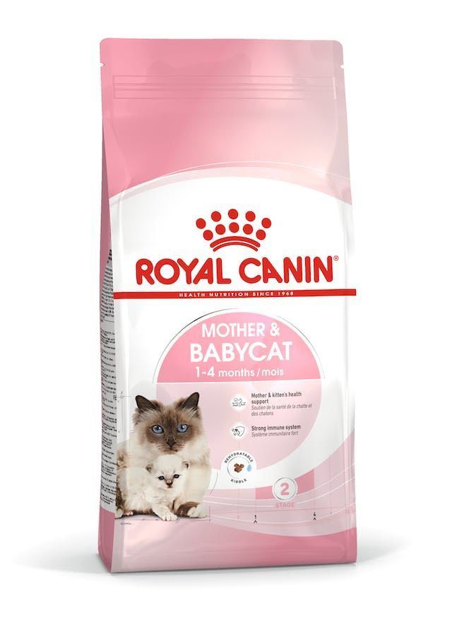 Royal Canin BabyCat 34 Yavru Kuru Kedi Maması 4 Kg