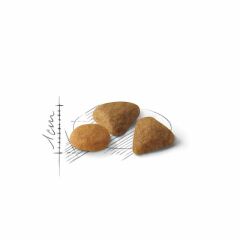 Royal Canin Savour Exigent Seçici Kedi Maması 2 Kg
