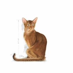 Royal Canin Savour Exigent Seçici Kedi Maması 4 Kg