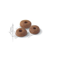 Royal Canin Fit Kedi Maması 400 Gr