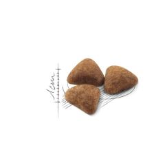 Royal Canin Indoor Ev Kedileri için Kedi Maması 2 Kg