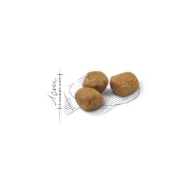 Royal Canin Indoor +7 Yaşlı Kuru Kedi Maması 3,5 kg