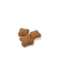 Royal Canin Sterilised Kitten Kısırlaştırılmış Yavru Kedi Maması 2 Kg