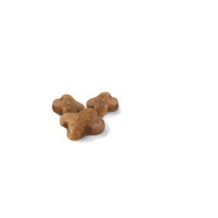 Royal Canin Kitten Yavru Kedi Maması 400 Gr