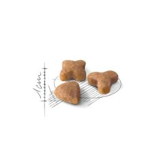 Royal Canin Sensible Hassas Kedi Maması 2 Kg