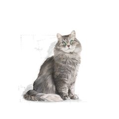 Royal Canin Sensible Hassas Kedi Maması 4 Kg