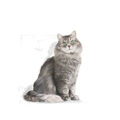 Royal Canin Sensible Hassas Kedi Maması 4 Kg