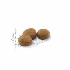 Royal Canin Sterilised 37 Kısırlaştırılmış Kedi Maması 2 Kg