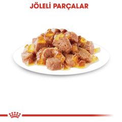 Royal Canin Jelly Sterilised Kısırlaştırılmış Yaş Kedi Maması 85 Gr (12 Adet x 85 Gr)