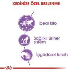 Royal Canin Jelly Sterilised Kısırlaştırılmış Yaş Kedi Maması 85 Gr (12 Adet x 85 Gr)
