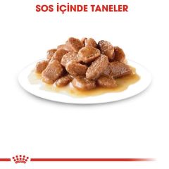 Royal Canin Gravy Sterilised Kısırlaştırılmış Yaş Kedi Maması 85 Gr (12 Adet x 85 Gr)
