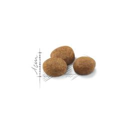 Royal Canin Sterilised +7 Yaş Kısırlaştırılmış Kedi Maması 3,5 Kg