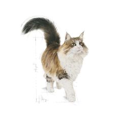 Royal Canin Gravy Instinctive Yaş Kedi Maması 85 Gr (12 Adetx85 Gr)