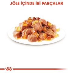 Royal Canin Jelly Hair Skin Kedi Maması 85 Gr (12Adet x 85Gr)