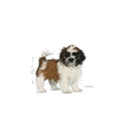 Royal Canin Köpek Mama Shih Tzu Puppy 1.5 Kg