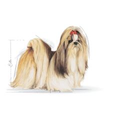 Royal Canin Köpek Maması Shih Tzu Adult 1.5 Kg