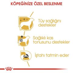 Royal Canin Poodle Yetişkin Pouch Yaş Köpek Maması 85 Gr (12 Adet x 85 gr)