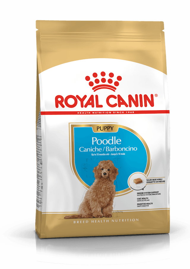 ROYAL CANIN POODLE JUNIOR KÖPEK MAMASI 3 KG