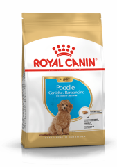 ROYAL CANIN POODLE JUNIOR KÖPEK MAMASI 3 KG