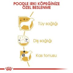 Royal Canin Poodle Yetişkin Köpek Maması 3 Kg