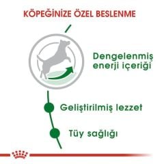 Royal Canin Mini Adult Köpek Maması 4 Kg