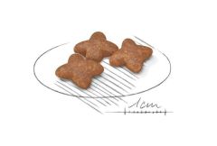Royal Canin Mini Adult Köpek Maması 8 Kg