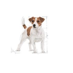 Royal Canin Mini Adult Köpek Maması 8 Kg