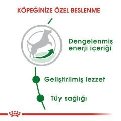 Royal Canin Mini Adult Köpek Maması 8 Kg