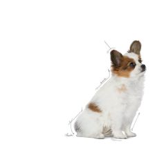 Royal Canin X-small Puppy Yavru Köpek Maması 1,5 Kg