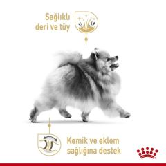 Royal Canin Pomeranian Yetişkin Köpek Yaş Maması 85 Gr (12 Adet x 85 Gr)