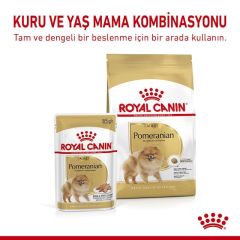 Royal Canin Köpek Maması Pomarian Adult 1,5 Kg