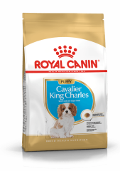 Royal Canin Cavalier King Charles Junior Yavru Köpek Maması 1,5 Kg