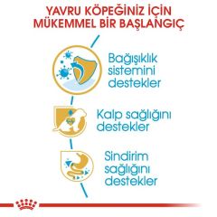 Royal Canin Cavalier King Charles Junior Yavru Köpek Maması 1,5 Kg