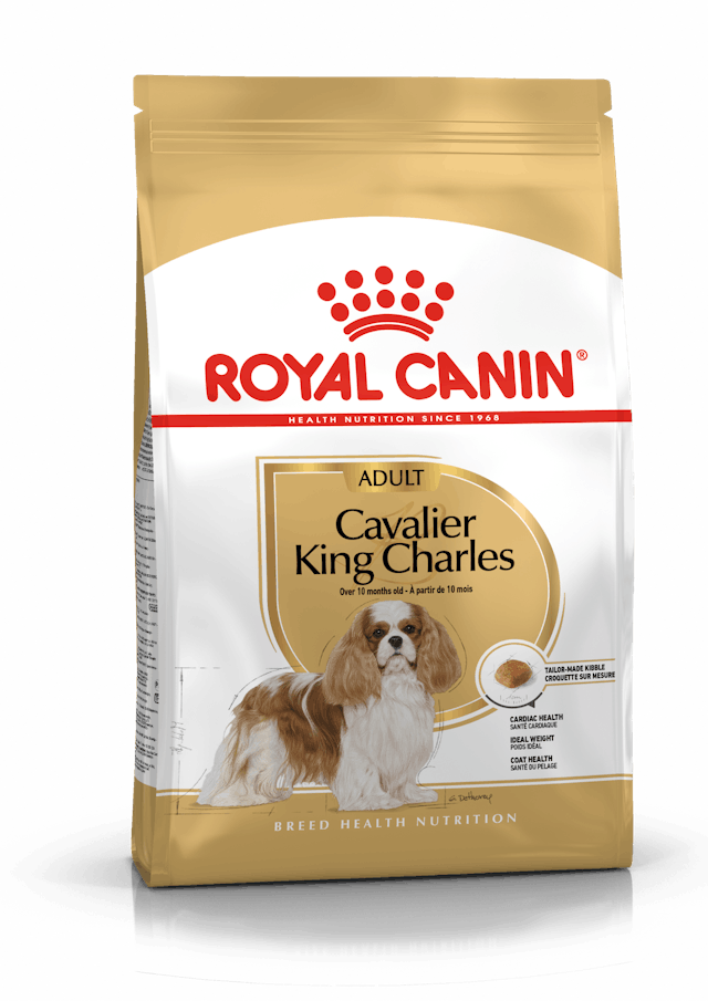 Royal Canin Cavalier King Charles  Yetişkin Köpek Maması 3 Kg